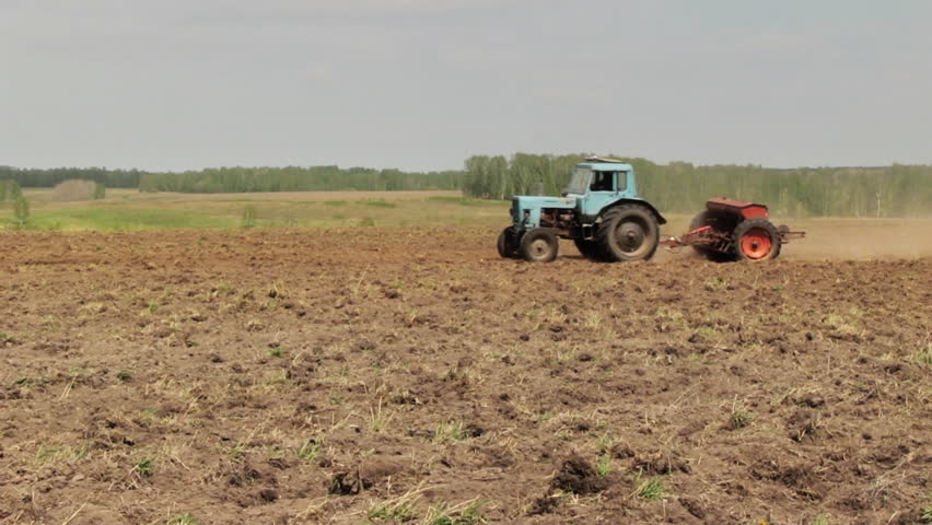 farmer sowing wheat
