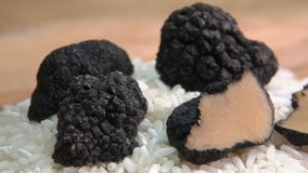 Close-up of piece of black truffle tuber on rice