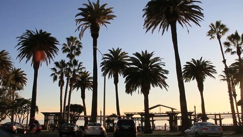 Palm Trees line Ocean Blvd in Santa Monica, CA. Traffic and Activity at sunset hour 