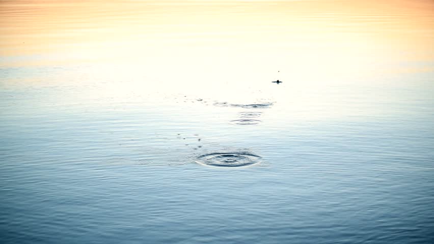 Stone Skipping On Calm Water Stock Footage Video 100