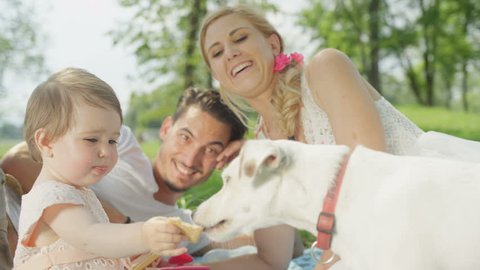 SLOW MOTION, CLOSE UP, DOF: Perfect young family spending quality time in park on picnic. Smiling baby girl eating biscuits and sharing them with the dog. Beautiful mother and cheerful father watching
