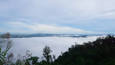Time lapse of morning Mist sea of cloud over the valley in Sabah Malaysia Borneo.