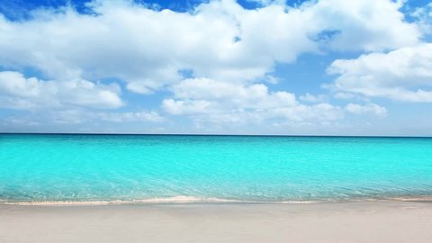 Idyllic tropical turquoise beach in caribbean sea with white sand shore