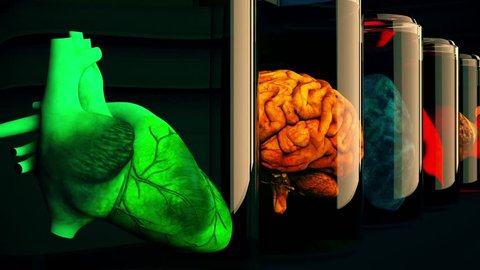 4K Human Organs in Science Laboratory Glasses Cinematic 3D Animation