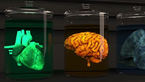 4K Human Organs in Science Laboratory Glasses Cinematic 3D Animation