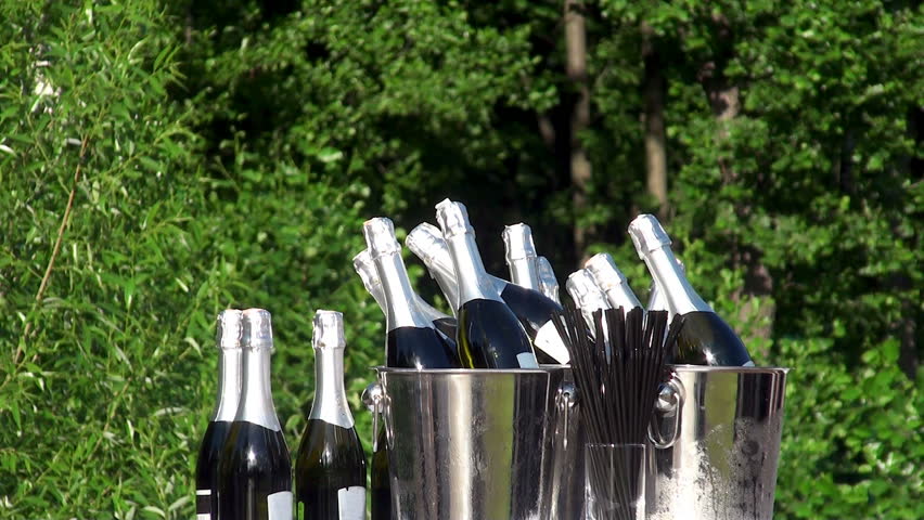 Bottles of champagne in a bucket in nature.