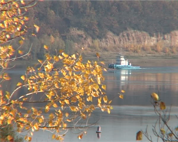 autumn landscape with a view of the river with a tugboat through the branches of a tree with yellow leaves