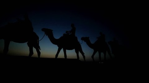 morocco-caravan of camels crossing the desert at night