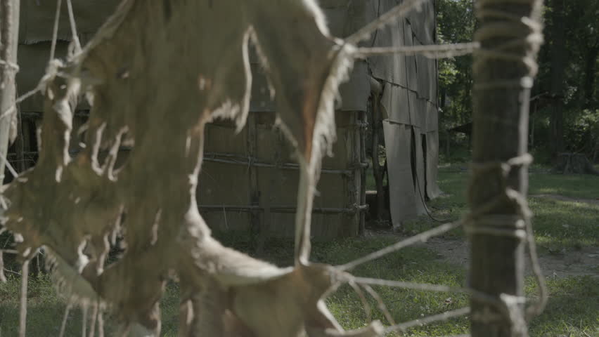 VIRGINIA - SPRING 2016 - Reenactment, Recreation. Ancient to 18th century, 1500s-1800s Native American, Eastern Woodland Indian Warrior Village - Powhatan, Pocahontas.  Skins stretched in front of Hut