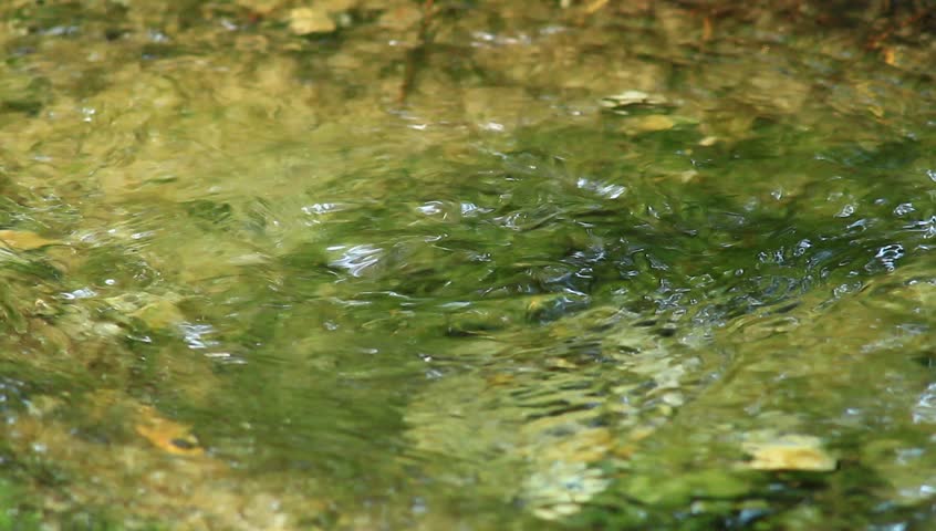 fresh water