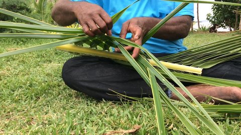 Fijian man create a basket from weaving a Coconut Palm leaves.Travel Fiji culture. Real people copy space