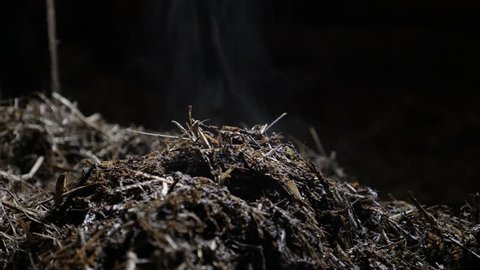 Heat from nitrogen rich soil fertilizer 