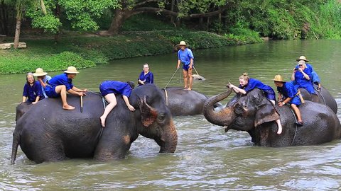 LAMPANG,THAILAND-January14: Mahout training the tourists who would like to truly experience riding and bathing the elephant at Thai Elephant Conservation Center Lampang,Thailand on January 14, 2016