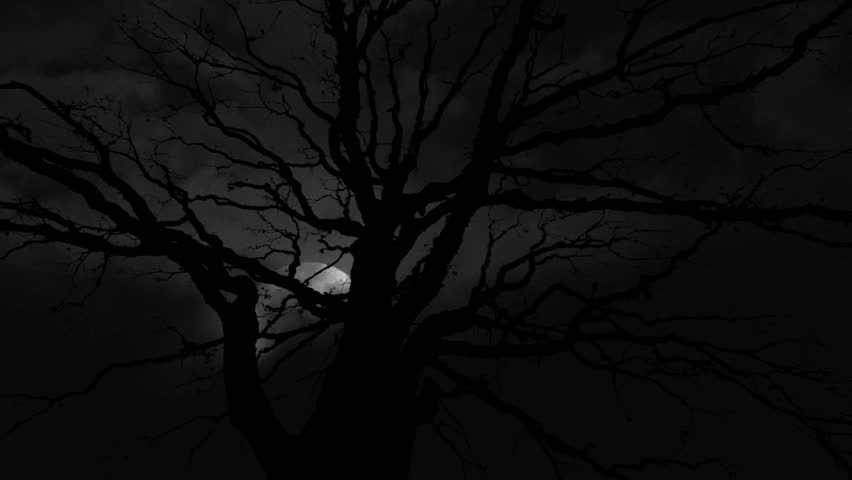 Full Moon with night clouds and large wicked tree time lapse. Royalty-Free Stock Footage #2442110