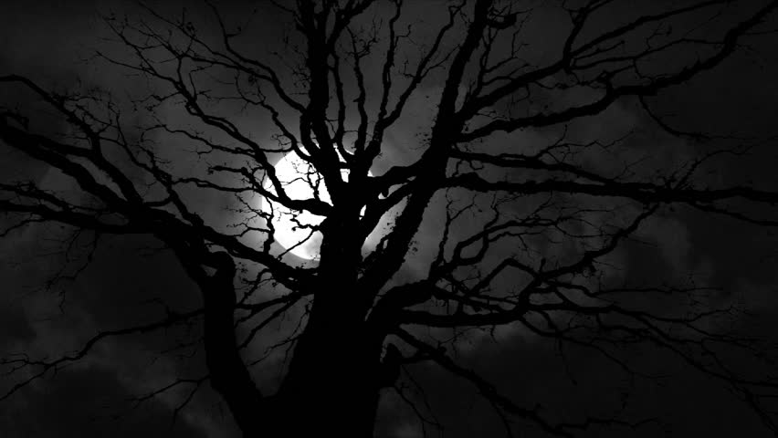 Full Moon with night clouds and large wicked tree time lapse.