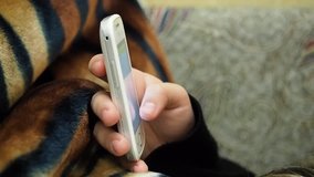 Cropped video of female hands, scrolling and typing sms messages, reading news on smartphone. Woman s hands with touch mobile phone The scene on the couch, girl covered with blanket with tiger pattern