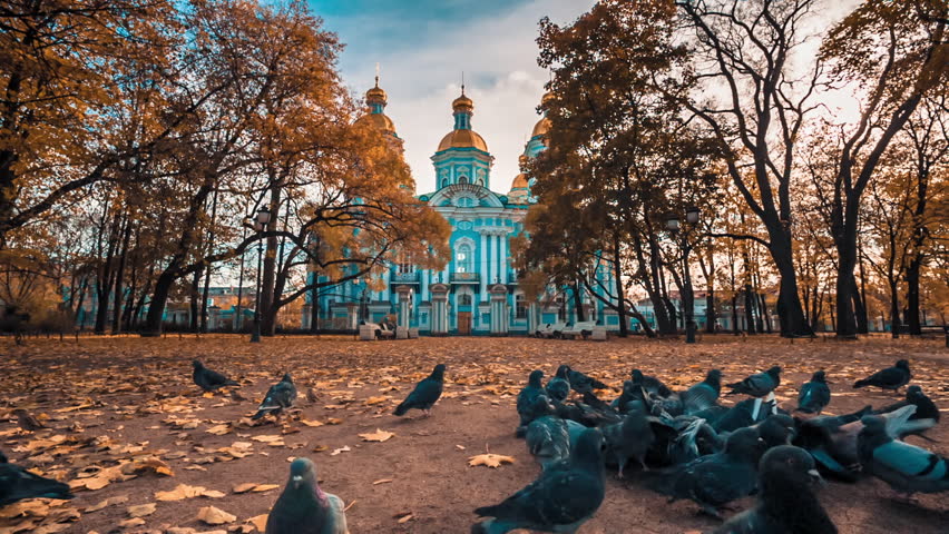 Autumn view of St. Nicholas Naval Cathedral, Baroque Orthodox cathedral in Saint Petersburg, Russia with pigeons on the foreground