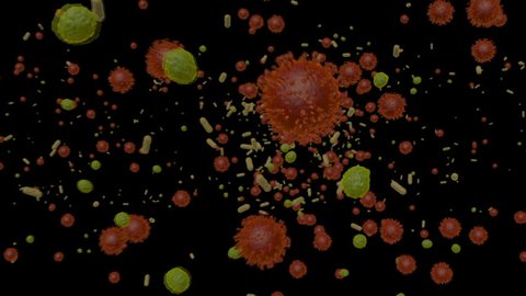 Fly through microscopic 3D animation of universe of human disease and illness visualizing infectious agents like virus and bacterium in intracellular space in CG artist representation