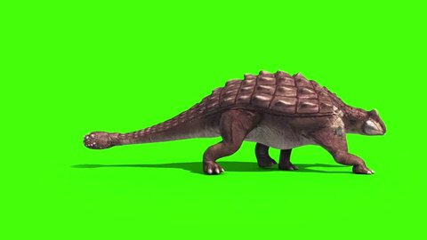 Dinosaur Ankylosaurus Run, Banco de Video - Envato Elements