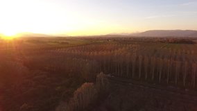 Aerial shot, fly over marshy landscape in Italy, Europe, made with drone, 4K
