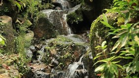 Peaceful Zen Waterfall Garden