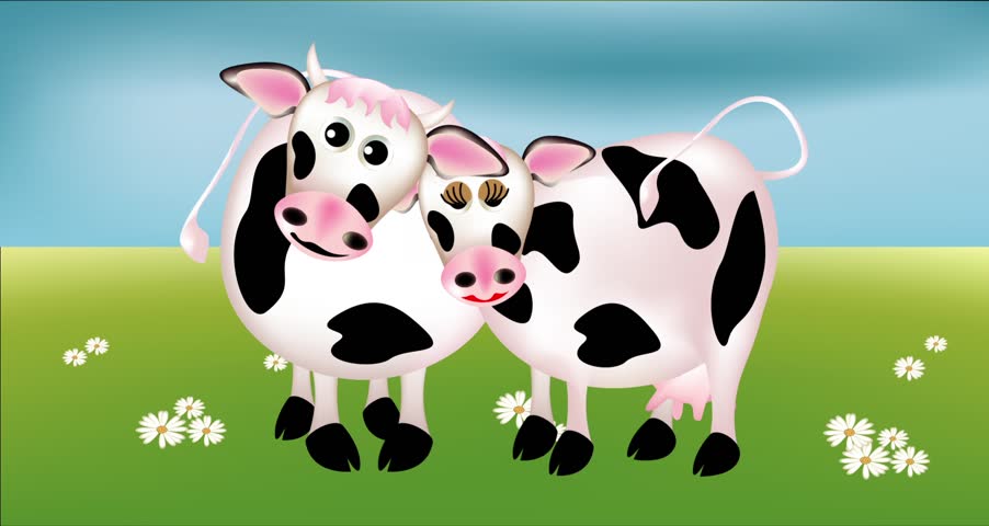 Cows in the meadow