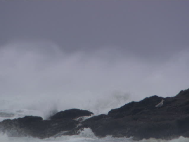 Gull flying off as stormy waves break over a rock