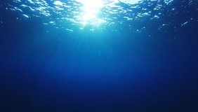 Underwater footage in ocean. Sunlight on sea surface