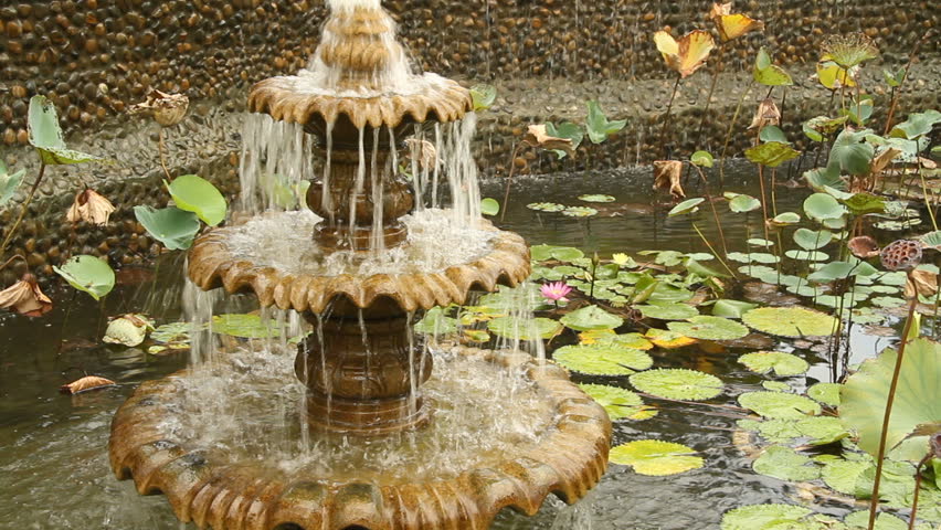 fountain and water lily