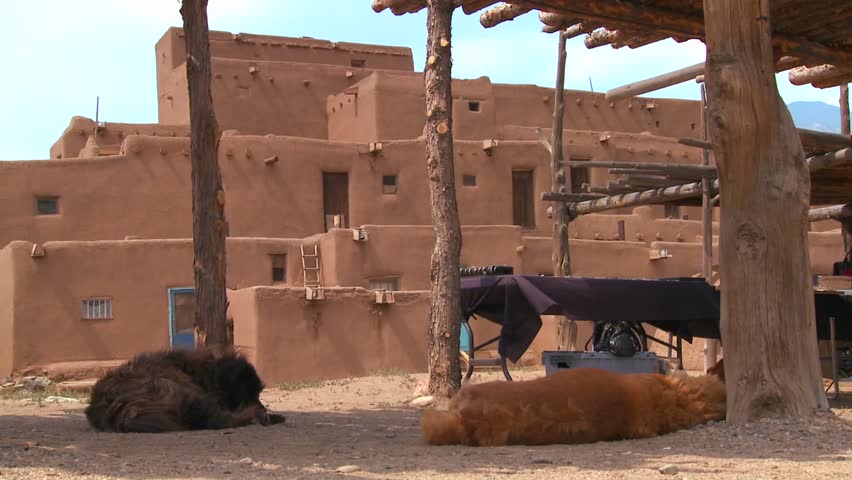 Dogs sleep by Taos Pueblo in New Mexico