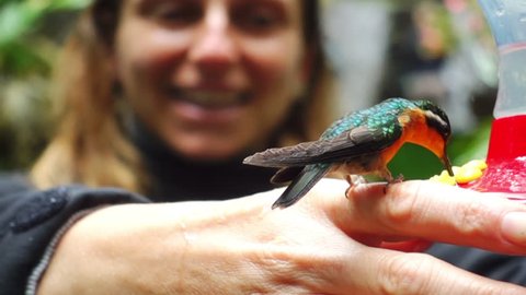 woman holding hummingbird while it's feeding
