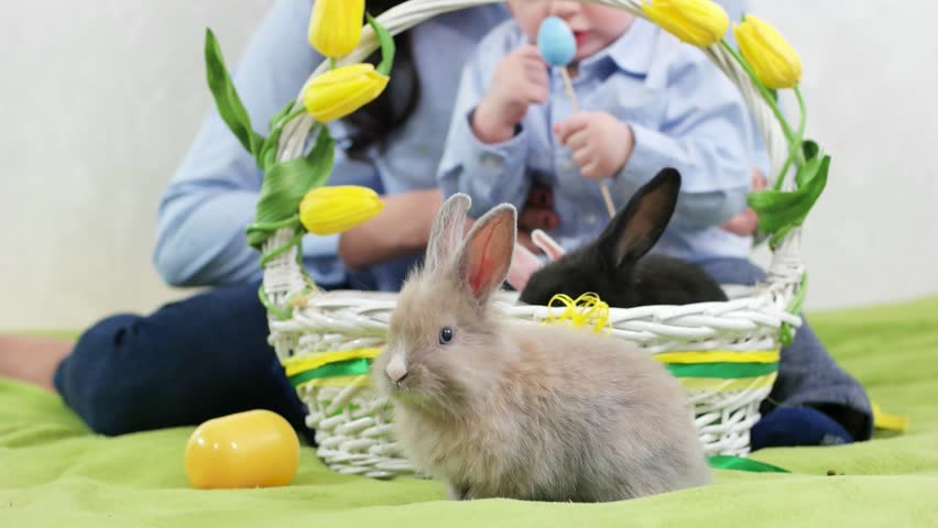 easter bunny near wicker basket, child plays colorful eggs, young mother sitting with her son, family waiting holiday, kid having fun with mom, spring celebration
