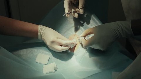 The surgeon makes an operation on his leg. Doctor doing a biopsy on the leg of the patient