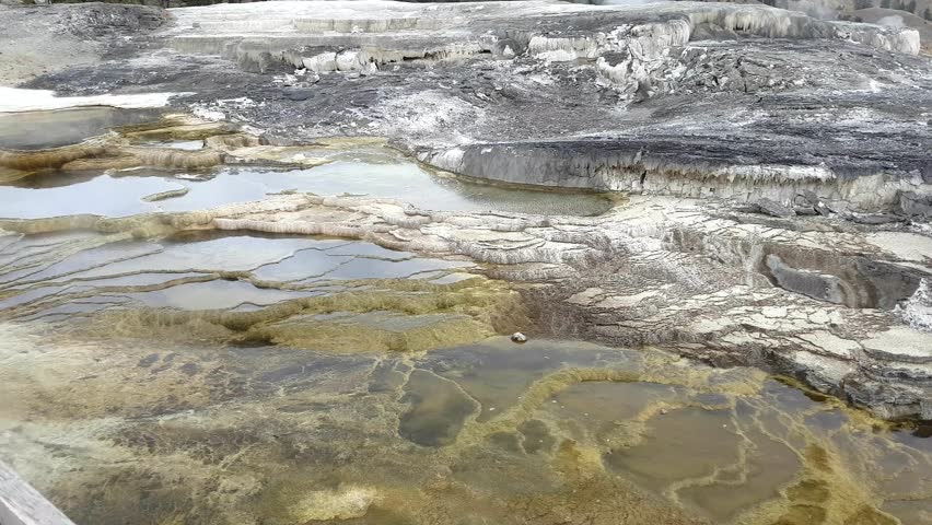 Handheld view of mammoth hot springs, in Yellowstone national park, in Wyoming, United states of america