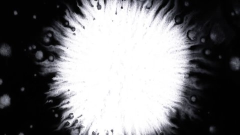 Beautiful white watercolor ink drops on black background, paint bleed Bloom, with circle organic flow expanding, splatter spreading on pure backdrop. Perfect for motion graphics, digital composition