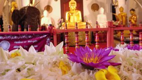 Pink lotus flowers offering to meditating Buddhas statues. Temple of Tooth Relic (Sri Dalada Maligava) in Kandy. Most sacred religious place in Sri Lanka