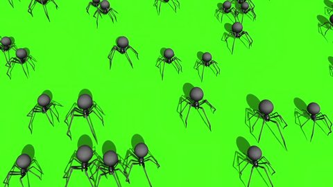 Arachnid Black Widow Spider Invasion Green Screen 3D Rendering Animation