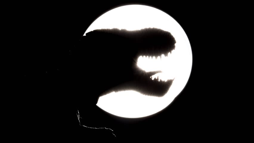 T-rex isolated in black background | Shutterstock HD Video #24529940