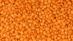 Red Lentil rotation background. Healthy raw organic yellow lentils closeup. Vegetarian food rotate. UHD video footage. Ultra high definition 3840X2160