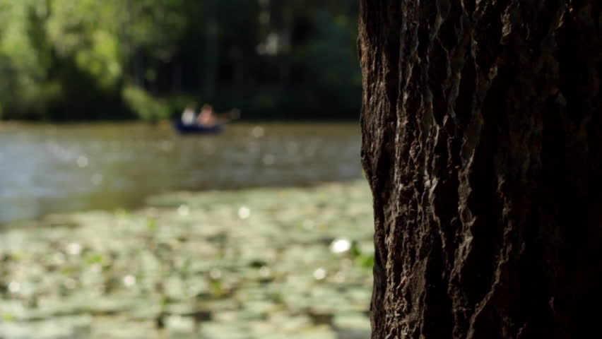 Close up of tree trunk with moving shadows. Focus slowly changes to people in the boat on the river on a sunny day