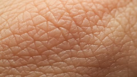 Human Skin Closeup