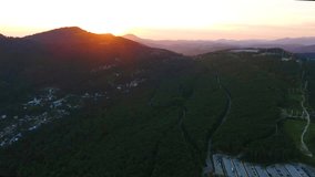 Aerial video : flight over summer Sochi mountains at sunset, Russia 