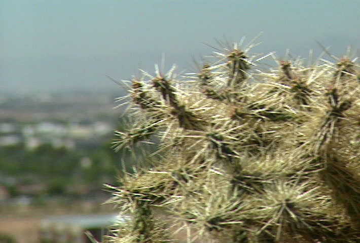 PHOENIX - Circa 2002: Skyline of Phoenix Arizona in 2002.