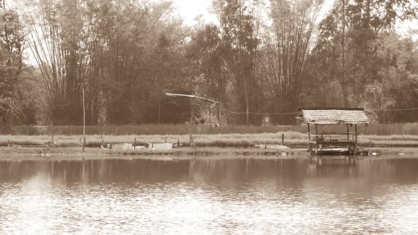 Country house rice field,Sepia tone