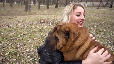 Young Woman Stroking Playing Sharpei Dog In Spring Park