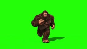 Bigfoot Sighting Run Loop Front Green Screen 3D Rendering Animation