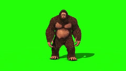 Bigfoot Sighting Attack and Die Green Screen 3D Rendering Animation