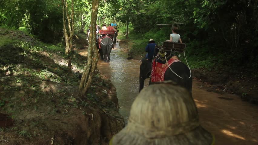 Unrecognizable people riding elephants in jungle