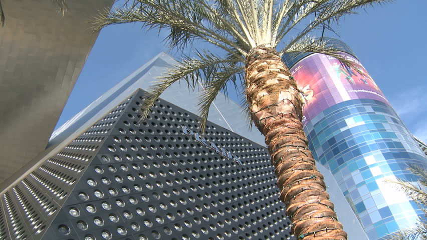 LAS VEGAS - MARCH 1: Shop on Las Vegas Boulevard with a palm tree in the front