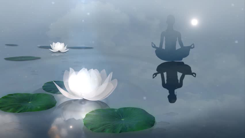 lotus meditation